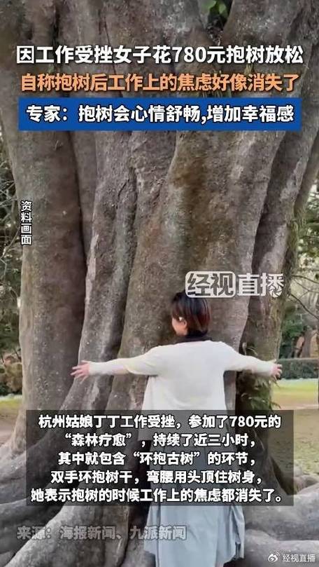 新澳2025天天正版资料和每月花780抱树放松与