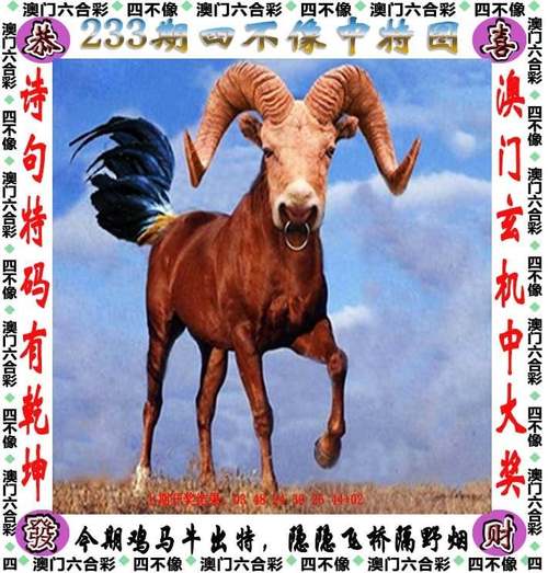 澳门管家婆100%精准香港和外交部:勿要玩火与